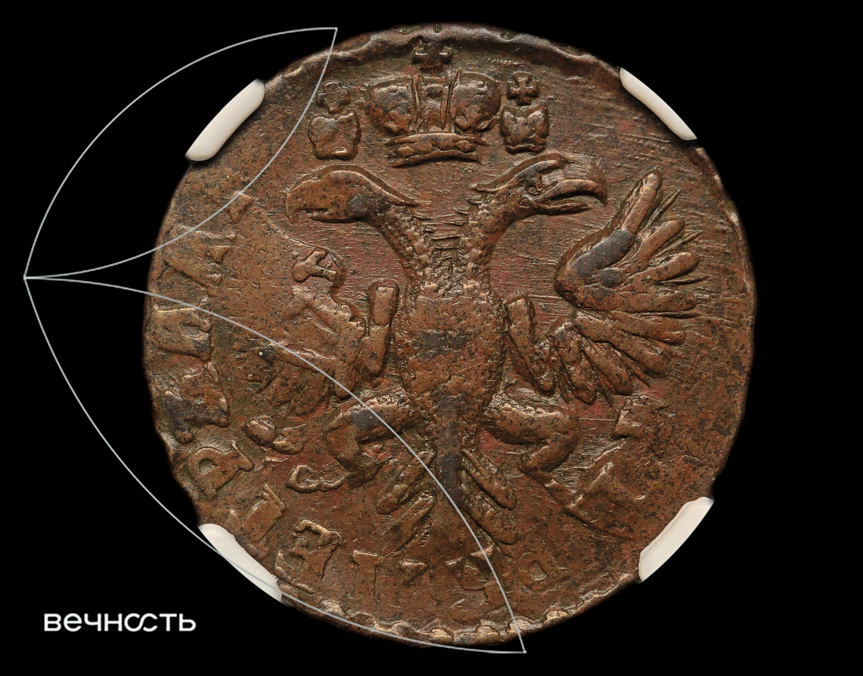 ДЕНГА 1731 "Пятилепестковая"