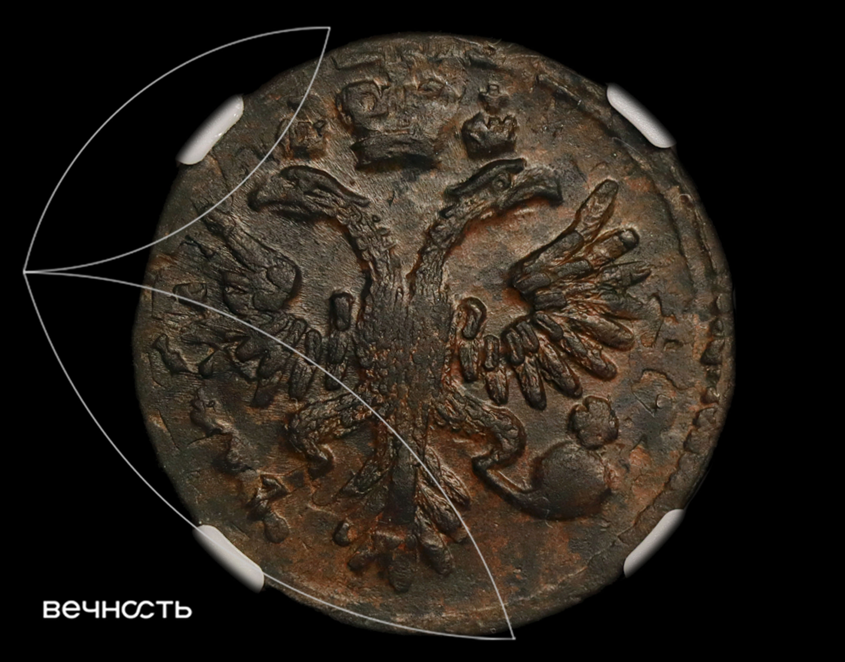 ДЕНГА 1731 "Пятилепестковая"
